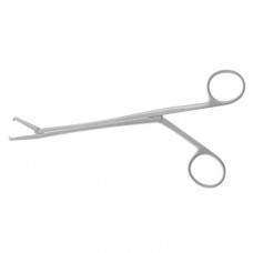 Brand Tendon Tunnelling Forcep 1 x 2 Teeth Stainless Steel, 24.5 cm - 9 3/4"